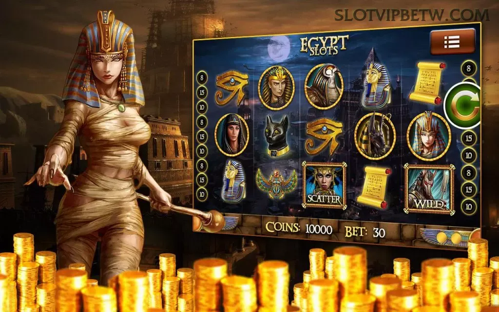 Formulário registro slotvipbet